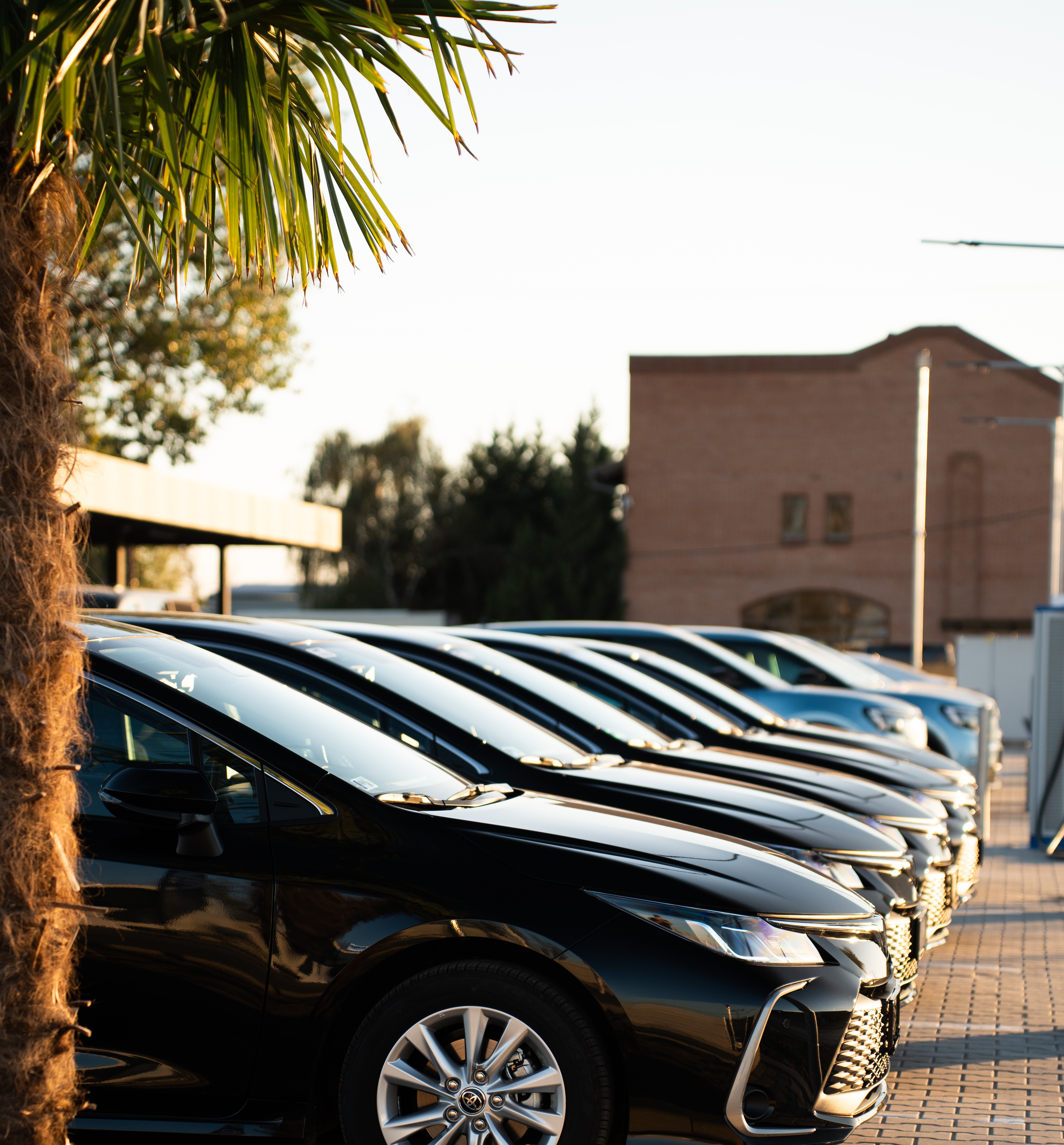 The VING Point Airport - Budapest office with VING flags and prepared rental cars